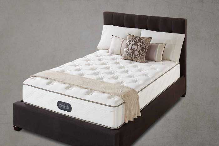 Wyndham Trevor Euro Top Mattress