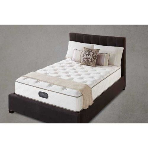 Simmons Wyndham Mattress, Trevor Plush, Twin 38x75, 13in, 1 Sided